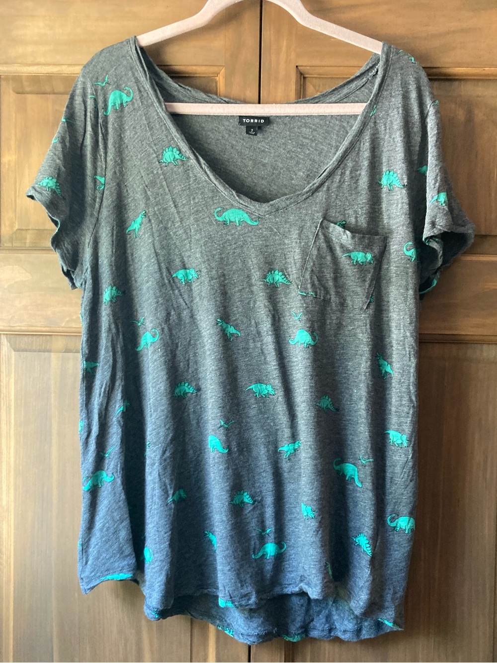 5/$15 Casual Torrid Gray & Green Dinosaur SS Tee 2X